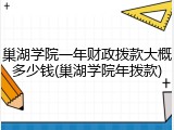 巢湖学院一年财政拨款大概多少钱(巢湖学院年拨款)