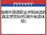 湖南外国语职业学院就读的真实感觉如何(湖外就读体验)