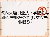 陕西交通职业技术学院的专业设置概况介绍(陕交院专业概览)