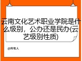 云南文化艺术职业学院是什么级别，公办还是民办(云艺级别性质)