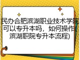 民办合肥滨湖职业技术学院可以专升本吗，如何操作(滨湖职院专升本流程)