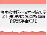 海南软件职业技术学院奖学金评定细则是怎样的(海南软院奖学金细则)