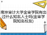 南京审计大学金审学院有出过什么知名人士吗(金审学院知名校友)