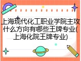 上海现代化工职业学院主攻什么方向有哪些王牌专业(上海化院王牌专业)