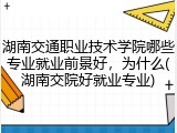 湖南交通职业技术学院哪些专业就业前景好，为什么(湖南交院好就业专业)