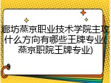 廊坊燕京职业技术学院主攻什么方向有哪些王牌专业(燕京职院王牌专业)
