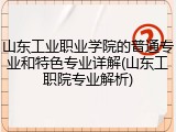 山东工业职业学院的普通专业和特色专业详解(山东工职院专业解析)
