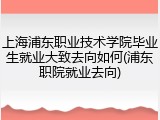 上海浦东职业技术学院毕业生就业大致去向如何(浦东职院就业去向)