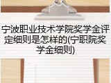 宁波职业技术学院奖学金评定细则是怎样的(宁职院奖学金细则)
