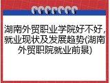 湖南外贸职业学院好不好，就业现状及发展趋势(湖南外贸职院就业前景)