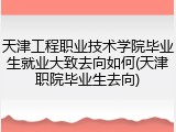 天津工程职业技术学院毕业生就业大致去向如何(天津职院毕业生去向)