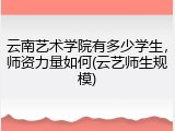 云南艺术学院有多少学生，师资力量如何(云艺师生规模)