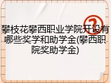 攀枝花攀西职业学院开设有哪些奖学和助学金(攀西职院奖助学金)