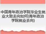 中国青年政治学院毕业生就业大致去向如何(青年政治学院就业去向)