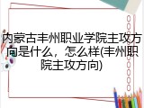 内蒙古丰州职业学院主攻方向是什么，怎么样(丰州职院主攻方向)