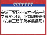 安徽工贸职业技术学院一年学费多少钱，还有哪些费用(安徽工贸职院学费费用)