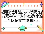 湖南冶金职业技术学院是否有双学位，为什么(湖南冶金职院双学位原因)