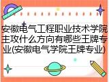 安徽电气工程职业技术学院主攻什么方向有哪些王牌专业(安徽电气学院王牌专业)