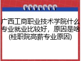 广西工商职业技术学院什么专业就业比较好，原因是啥(桂职院高薪专业原因)