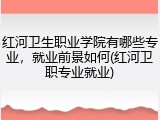 红河卫生职业学院有哪些专业，就业前景如何(红河卫职专业就业)