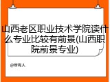 山西老区职业技术学院读什么专业比较有前景(山西职院前景专业)