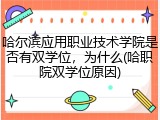 哈尔滨应用职业技术学院是否有双学位，为什么(哈职院双学位原因)