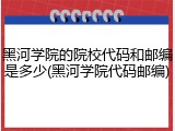黑河学院的院校代码和邮编是多少(黑河学院代码邮编)