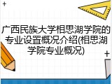 广西民族大学相思湖学院的专业设置概况介绍(相思湖学院专业概况)