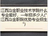 江西冶金职业技术学院什么专业最好，一年招多少人("江西冶金职院优势专业招生")
