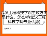 武汉工程科技学院主攻方向是什么，怎么样(武汉工程科技学院专业优势)