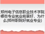 郑州电子信息职业技术学院哪些专业就业前景好，为什么(郑州职院好就业专业)