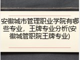 安徽城市管理职业学院有哪些专业，王牌专业分析(安徽城管职院王牌专业)
