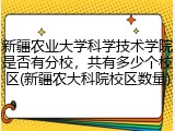新疆农业大学科学技术学院是否有分校，共有多少个校区(新疆农大科院校区数量)
