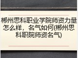 郴州思科职业学院师资力量怎么样，名气如何(郴州思科职院师资名气)