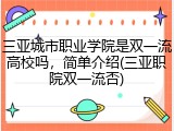 三亚城市职业学院是双一流高校吗，简单介绍(三亚职院双一流否)