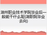 湖州职业技术学院毕业后一般能干什么呢(湖职院毕业去向)