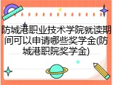 防城港职业技术学院就读期间可以申请哪些奖学金(防城港职院奖学金)