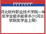 河北软件职业技术学院一年奖学金最多能拿多少(河北软院奖学金上限)