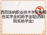 西双版纳职业技术学院有哪些奖学金和助学金呢(西职院奖助学金)