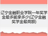 辽宁金融职业学院一年奖学金最多能拿多少(辽宁金融奖学金最高额)