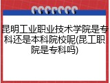 昆明工业职业技术学院是专科还是本科院校呢(昆工职院是专科吗)