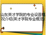 山东英才学院的专业设置概况介绍(英才学院专业概览)