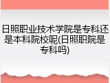 日照职业技术学院是专科还是本科院校呢(日照职院是专科吗)