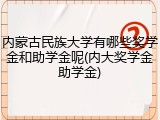内蒙古民族大学有哪些奖学金和助学金呢(内大奖学金助学金)