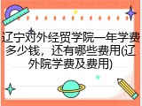 辽宁对外经贸学院一年学费多少钱，还有哪些费用(辽外院学费及费用)
