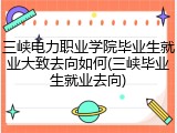 三峡电力职业学院毕业生就业大致去向如何(三峡毕业生就业去向)