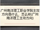 广州南洋理工职业学院主攻方向是什么，怎么样(广州南洋理工主攻方向)