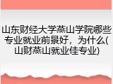 山东财经大学燕山学院哪些专业就业前景好，为什么(山财燕山就业佳专业)