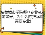 东莞城市学院哪些专业就业前景好，为什么(东莞城院高薪专业)