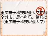重庆电子科技职业大学在哪个城市，是本科吗，第几批(重庆电子科技职业大学)